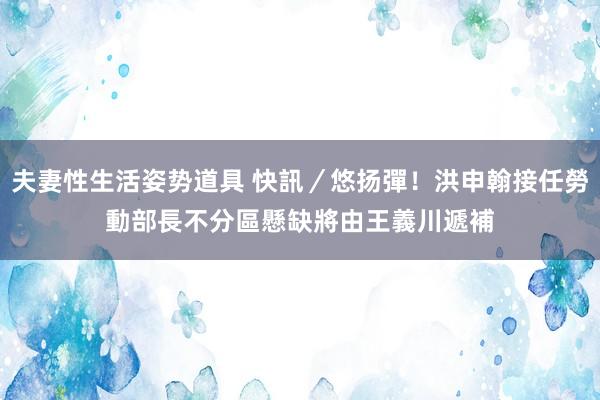 夫妻性生活姿势道具 快訊／悠扬彈！洪申翰接任勞動部長　不分區懸缺將由王義川遞補