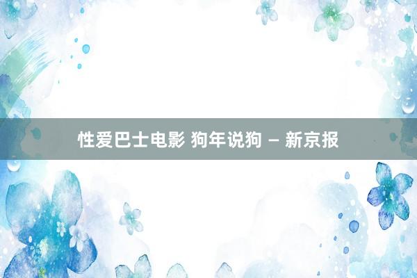 性爱巴士电影 狗年说狗 — 新京报