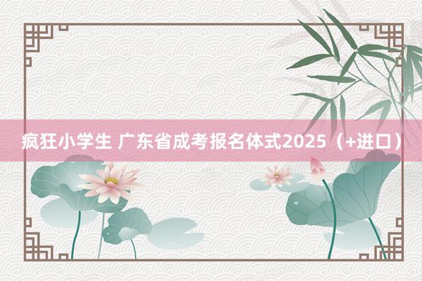 疯狂小学生 广东省成考报名体式2025（+进口）