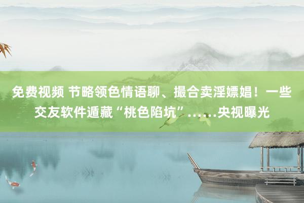 免费视频 节略领色情语聊、撮合卖淫嫖娼！一些交友软件遁藏“桃色陷坑”……央视曝光