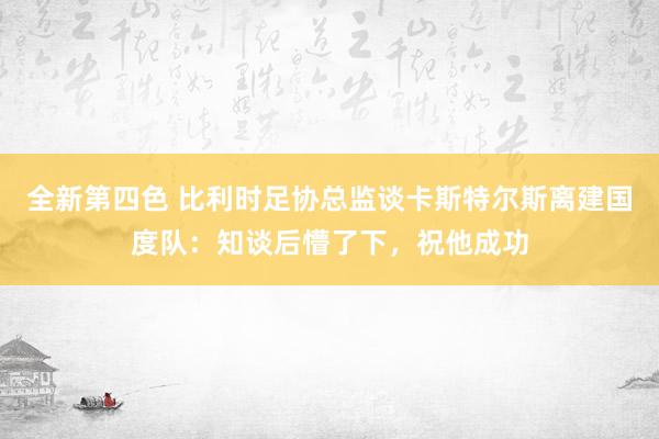 全新第四色 比利时足协总监谈卡斯特尔斯离建国度队：知谈后懵了下，祝他成功